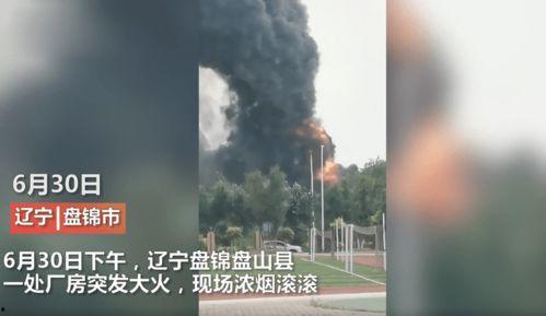 辉南县媒体爆料事件最新,揭秘当地重大事件背后真相