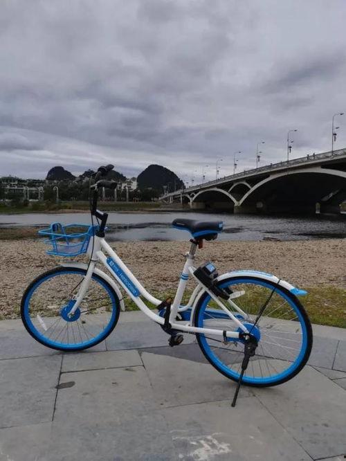 桂林单车爆料最新消息新闻,悲剧发生，原因调查中